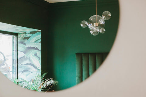 tropical indoor plants