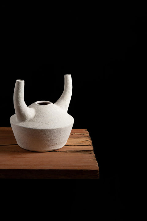 Horn Vase