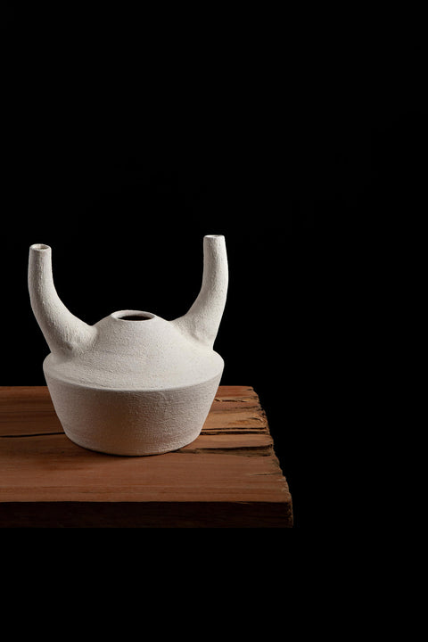 Horn Vase