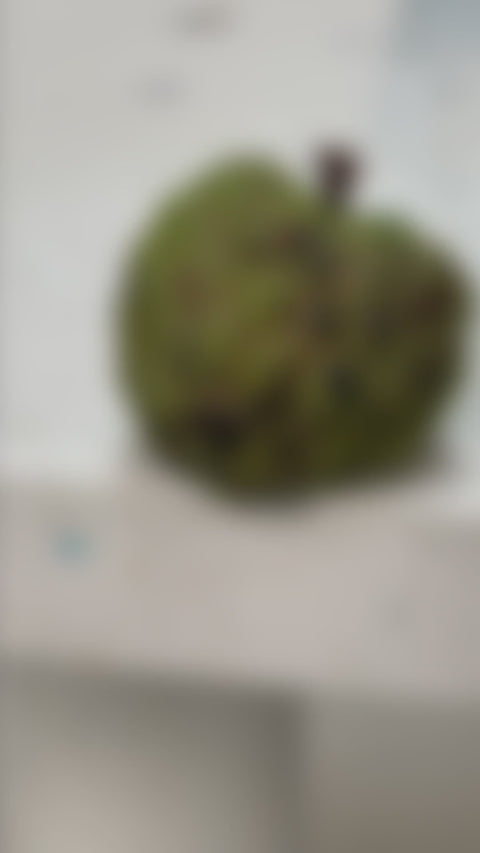 Mono