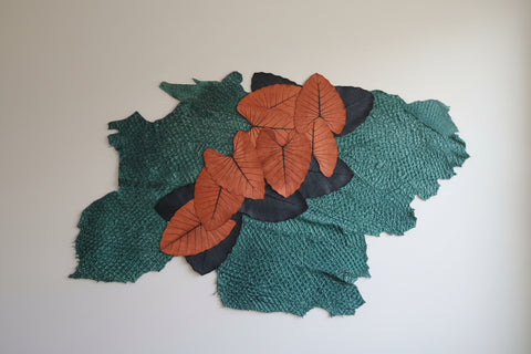 Skins of nature wall art